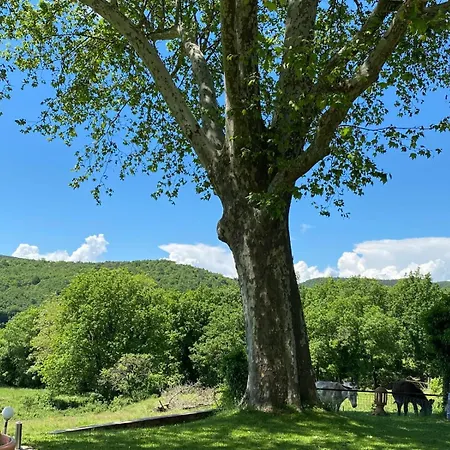 La Vie Est Belle Сasa de vacaciones